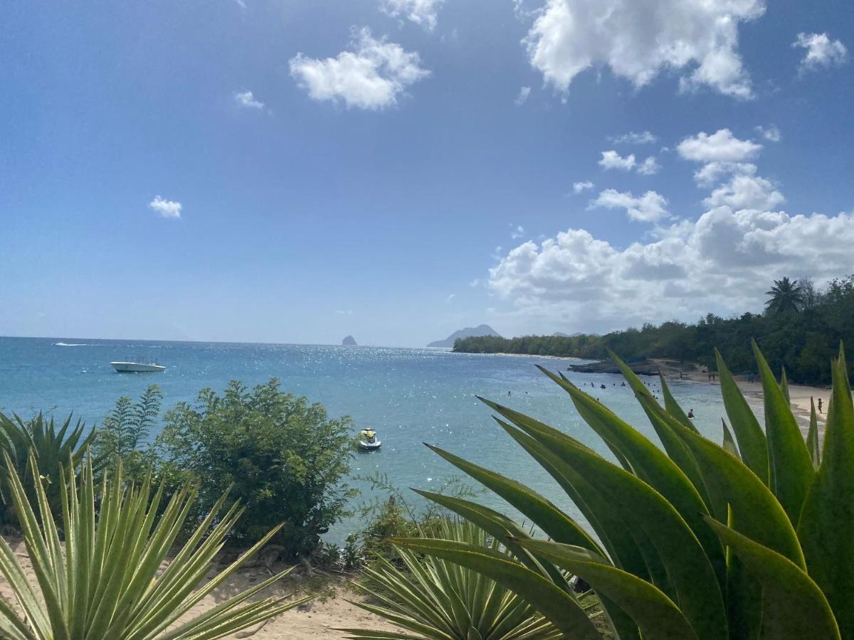 Studio Rdc La Desirade Martinique Acces Direct Plage Sainte-Luce Exteriör bild