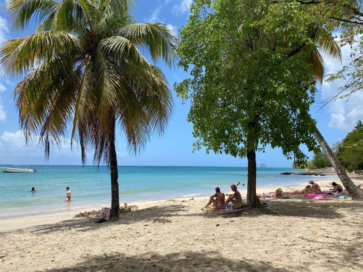 Studio Rdc La Desirade Martinique Acces Direct Plage Sainte-Luce Exteriör bild